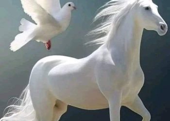 أقولُ ودمعي في الخدودِ …