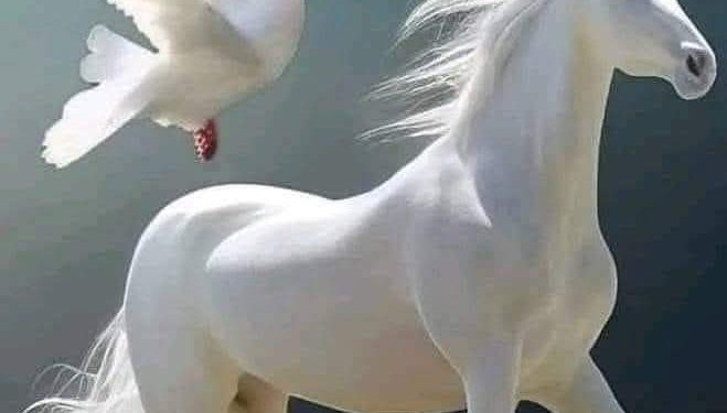 أقولُ ودمعي في الخدودِ …