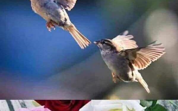 أنفاس من وجد …