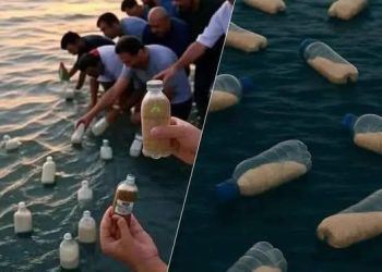 قارورة مرسلة بالطعام