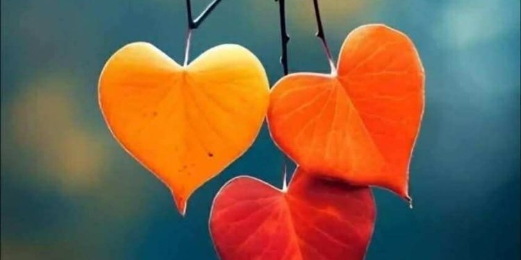 المُحِبّونَ أنواع..