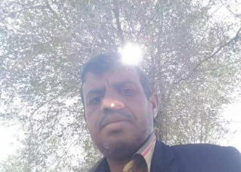 هزّي إليك الشّعر تسقط نخلة