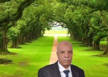 إني لا انظر في الوجود …