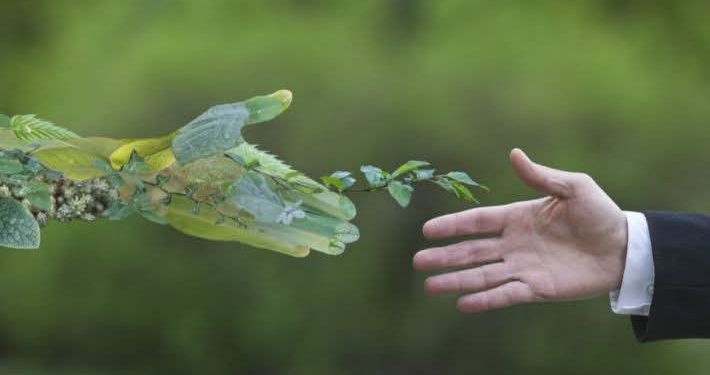 الكرم أكثر من طبق يُقدّم …