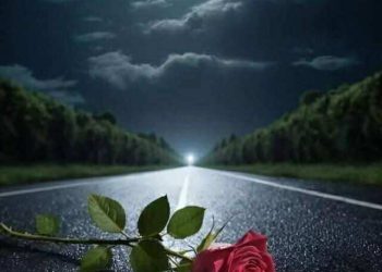 سيمفونية الضّياء والظّلام …