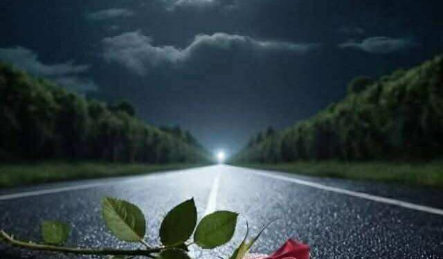 سيمفونية الضّياء والظّلام …