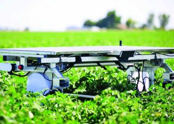 روبوت يميز الأعشاب الضارة ويزيلها