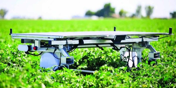 روبوت يميز الأعشاب الضارة ويزيلها