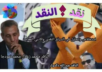 نقد النّقد الوجه الآخر للتجربة  