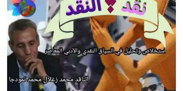 نقد النّقد الوجه الآخر للتجربة