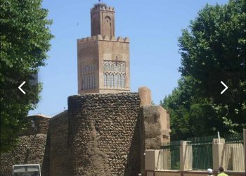 الدولة الزيانية أو بنو زيان …