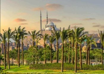 هبينى المسك