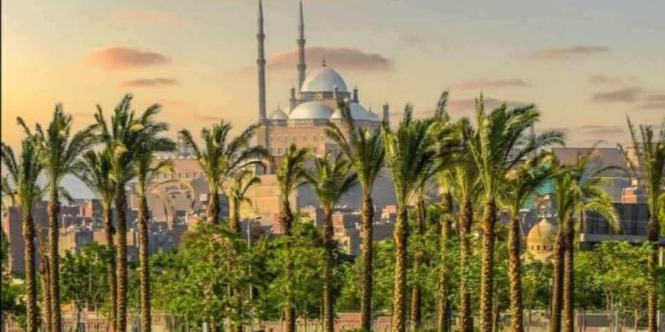 هبينى المسك