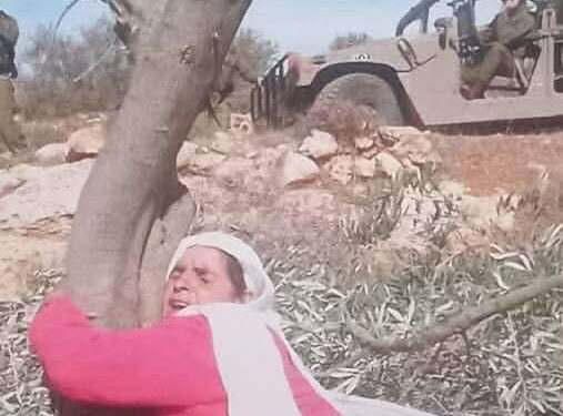 حكايةُ أُمَّيْنِ …