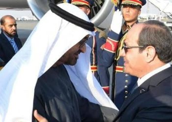 غزة على طاولة المناقشات المصرية الاماراتية بالقاهرة