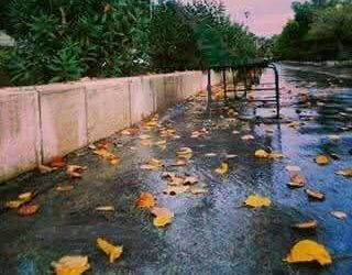 خــــريــــف