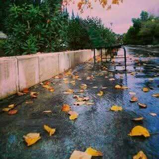 خــــريــــف