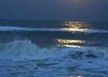 عَصَفَتْ رِيَاحُكِ بِأَمْوَاجِي …