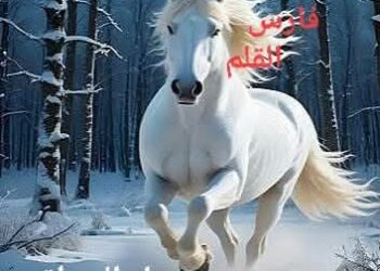 يَحَارُ المَنْطِقُ …