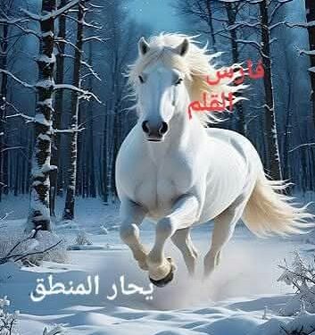 يَحَارُ المَنْطِقُ …