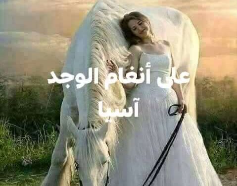 على أنغام الوجد