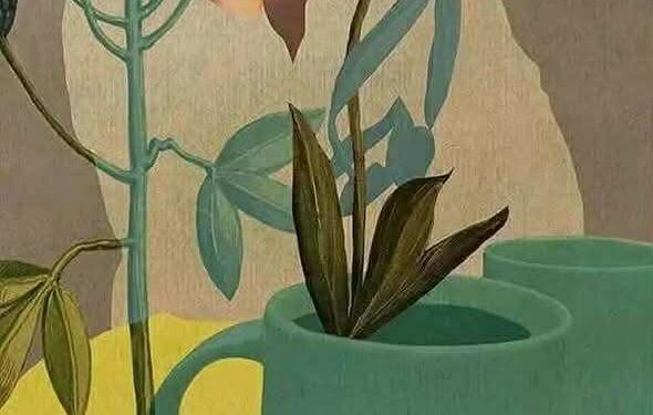 أُشبِه مُلصقاتِ مُراهقةٍ