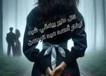كل طير بيلاقي شبه …