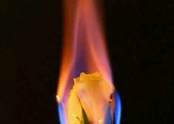 تلك الجمرة الّتي ترفضُ