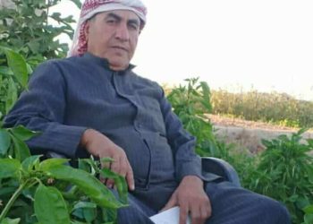 زوال العاصفة …