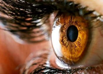 ثورة في علاج «العين الكسولة»: باحثون يعيدون تشغيل الشبكية لإستعادة الرؤية