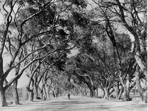 شبرا وجزيرة الفيل .. 