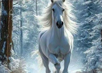 إنكسار الرّوح