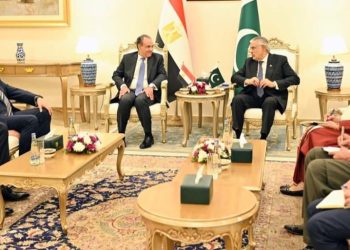 مشاورات مصرية باكستانية خلال زيارة وزير الخارجية المصري لإسلام أباد