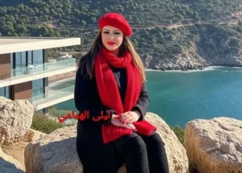 القناع الناعم للإخوان