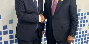 وزير الخارجية المصري يلتقي رئيس جمهورية الصومال الفيدرالية