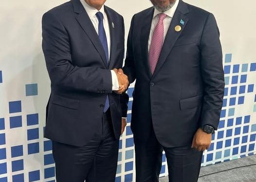 وزير الخارجية المصري يلتقي رئيس جمهورية الصومال الفيدرالية