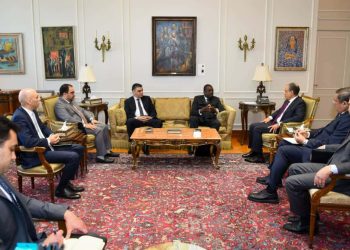 وزير الخارجية .. مصر تدعم منظومة الصحة والأمن الدوائي في أفريقيا