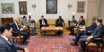 وزير الخارجية .. مصر تدعم منظومة الصحة والأمن الدوائي في أفريقيا