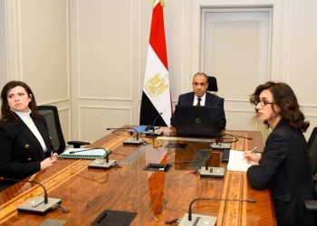 لقاء افتراضي لوزير الخارجية مع الجالية المصرية في كمبوديا وسنغافورا وتايلاند