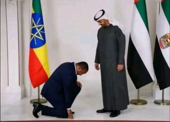 تحطُّمِ آوهام حكَّامِ إثيوبيا على الصَّخرةِ الإرتريَّة