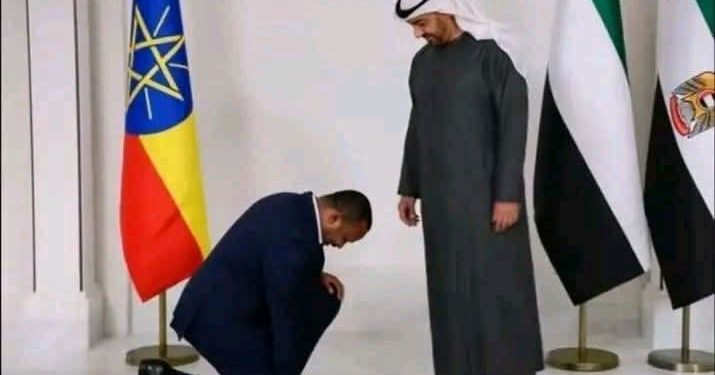 تحطُّمِ آوهام حكَّامِ إثيوبيا على الصَّخرةِ الإرتريَّة