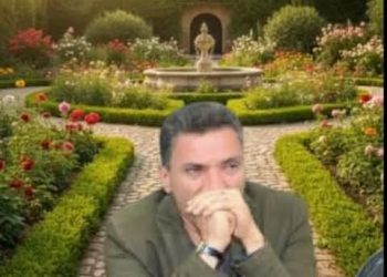 مَشاعِرُ عابِرَة