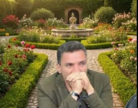 مَشاعِرُ عابِرَة