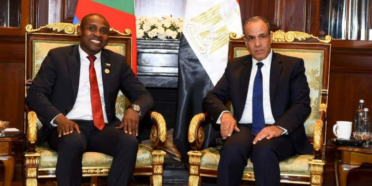 وزير الخارجية يلتقي وزير خارجية جزر القمر