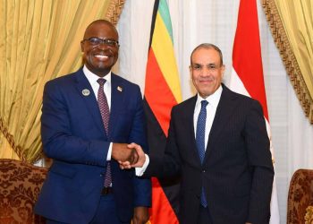 وزير الخارجية يلتقي نظيره الزيمبابوي لتعزيز التعاون الثنائي