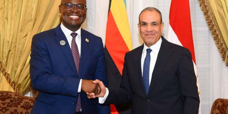 وزير الخارجية يلتقي نظيره الزيمبابوي لتعزيز التعاون الثنائي