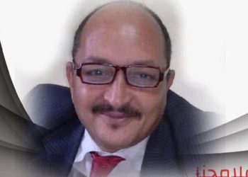 في البحث عن الرّاحة