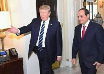 اخبار مصر …