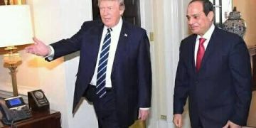 اخبار مصر …