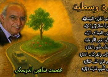 جزرة وسطيّة